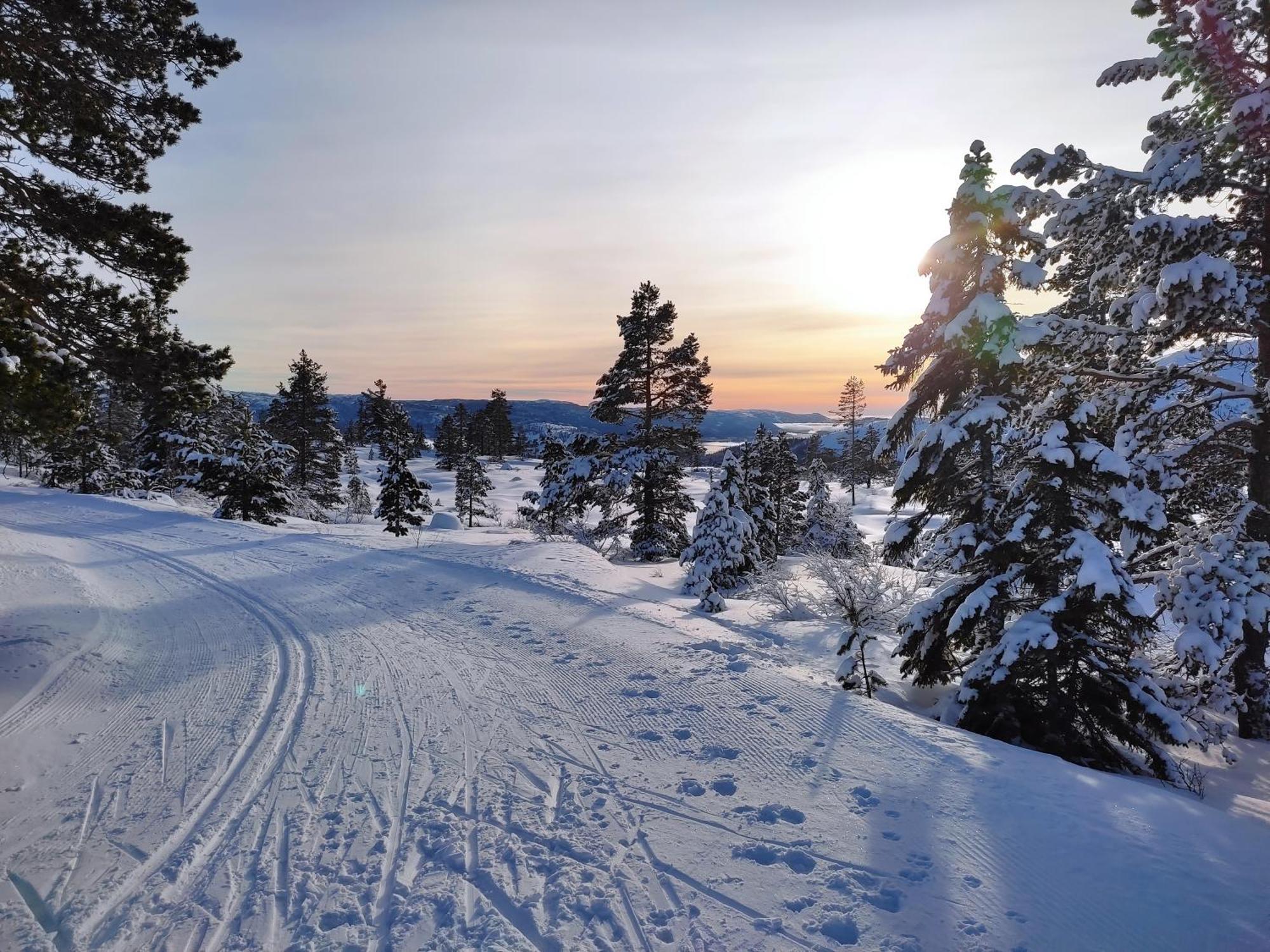 Hytte Ved Vravatnet I Vradal Bagian luar foto